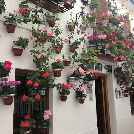 Apartamento El Templo Κόρδοβα Εξωτερικό φωτογραφία