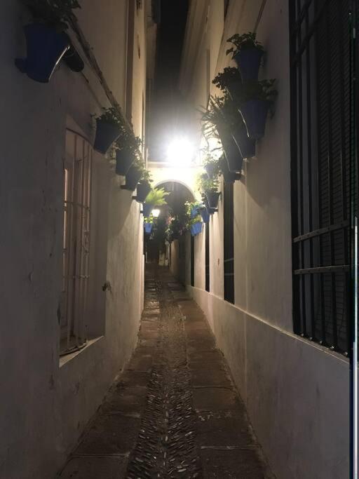 Apartamento El Templo Κόρδοβα Εξωτερικό φωτογραφία